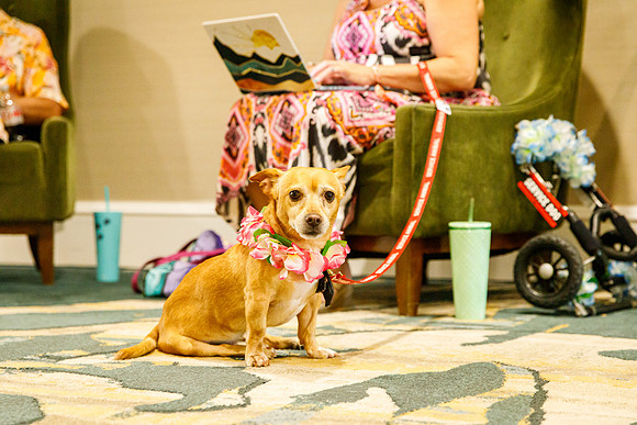 Sveinn-Photography_IMG_4871-export