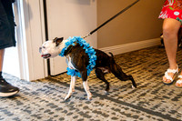 IMG_2465-watermarkFB