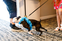 IMG_2466-watermarkFB