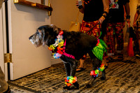 IMG_2471-watermarkFB