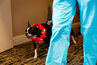 IMG_2467-watermarkFB