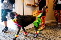 IMG_2472-watermarkFB