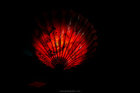 IMG_9912-watermarkFB