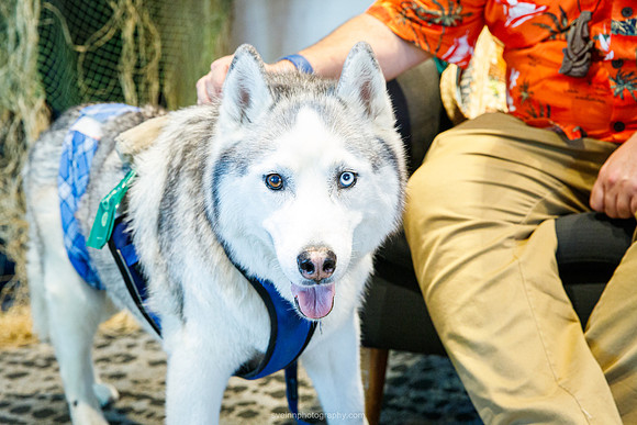 IMG_0895-watermarkFB