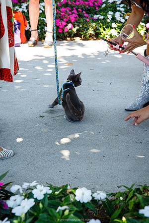 IMG_1027-watermarkFB
