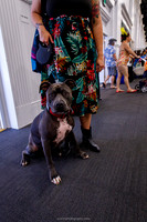 IMG_1094-watermarkFB