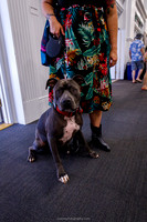 IMG_1095-watermarkFB