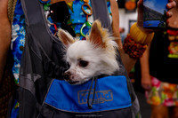 IMG_1099-watermarkFB