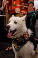 IMG_1110-watermarkFB