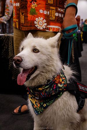 IMG_1110-watermarkFB