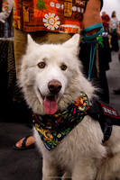 IMG_1111-watermarkFB