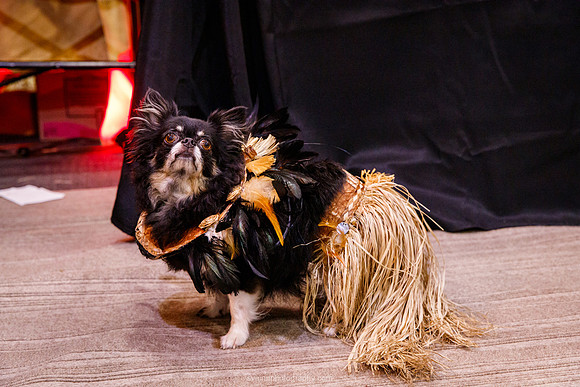 IMG_1150-watermarkFB