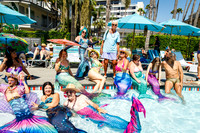 IMG_1334-watermarkFB