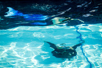 IMG_0490-watermarkFB