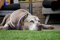 IMG_2611-watermarkFB