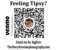 Tipping Venmo copy