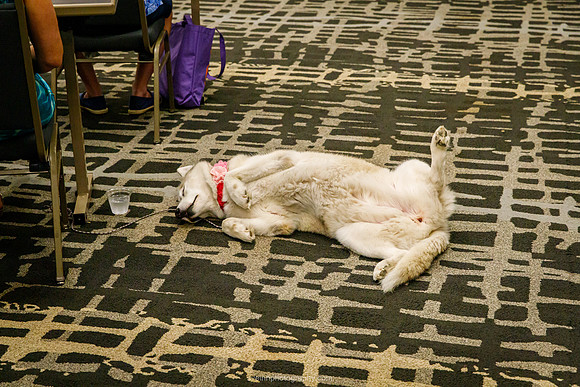 IMG_0724-watermarkFB