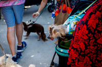 IMG_1150-watermarkFB