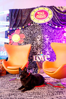 IMG_2035-watermarkFB
