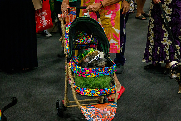 IMG_1262-watermarkFB