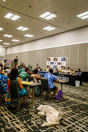 IMG_0725-watermarkFB