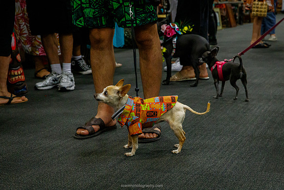 IMG_1283-watermarkFB