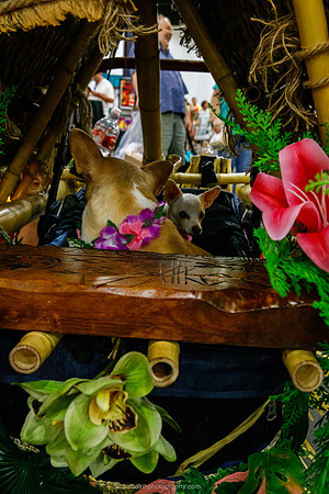 IMG_1319-watermarkFB