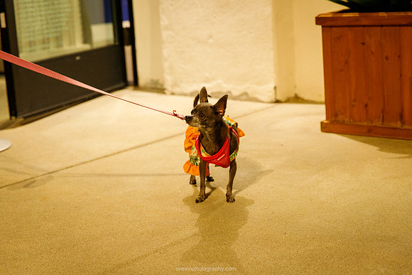IMG_6706-watermarkFB