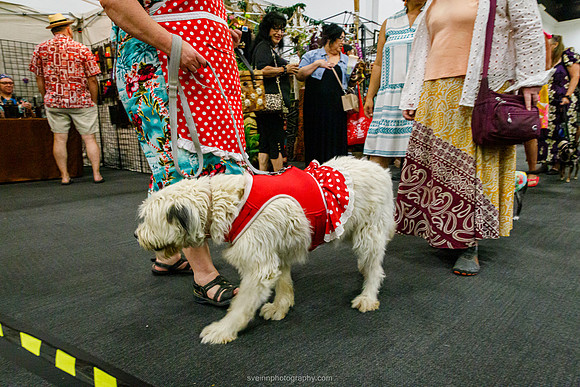 IMG_1256-watermarkFB