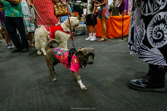 IMG_1252-watermarkFB