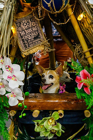 IMG_1318-watermarkFB