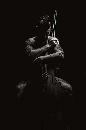 Celloir
