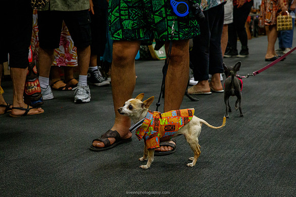 IMG_1282-watermarkFB