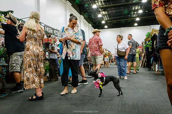 IMG_1293-watermarkFB