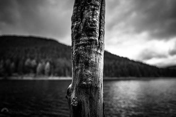 Solitude (Oregon)