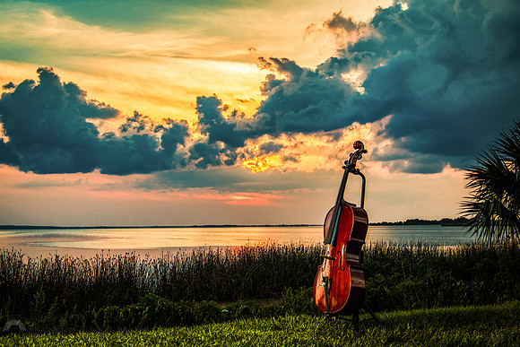 Cello Sunset (Florida)