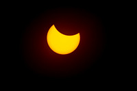 Solar Eclipse 2017 Corvallis, Oregon