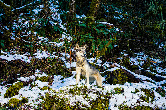 IMG_4354-Edit-watermarkFB