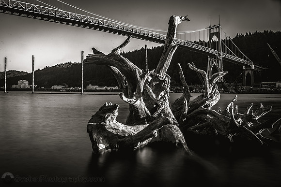 Branching  (Oregon)